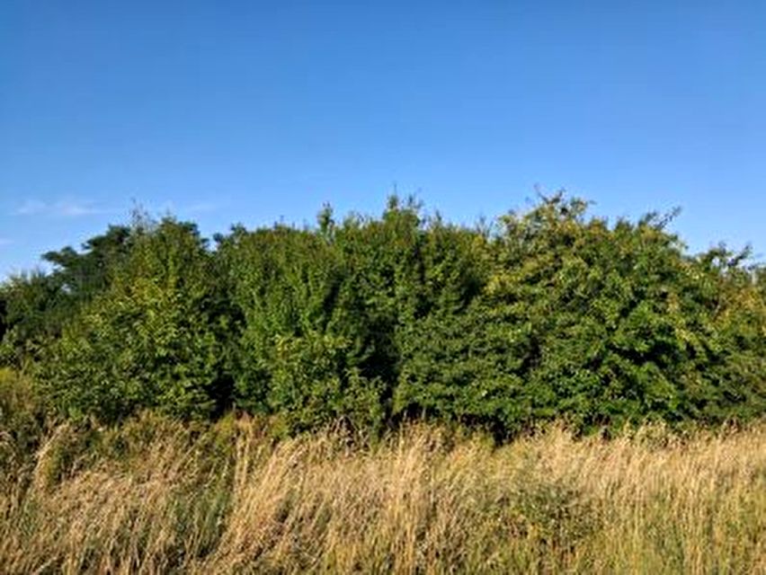 Działka inna Kościerzyce