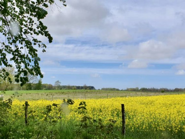 Działka budowlano-rolna Gryfice