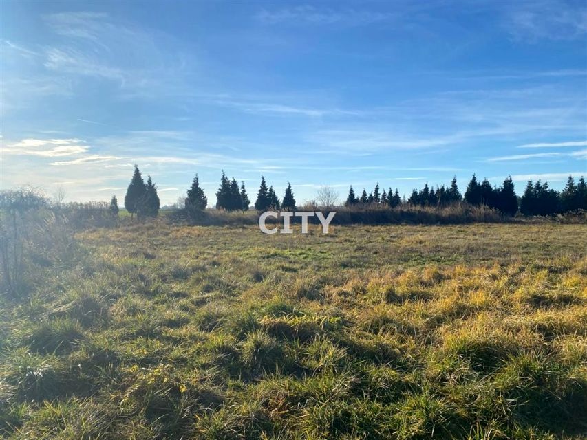 Działka usługowa Ozorzyce sprzedam