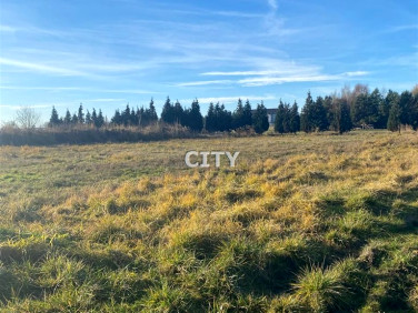 Pusta działka Ozorzyce