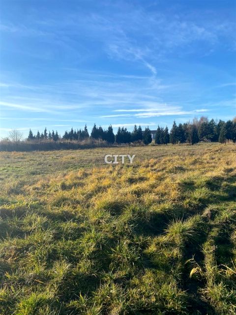 Pusta działka Ozorzyce