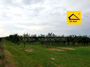 Działka budowlana Sławacinek Nowy