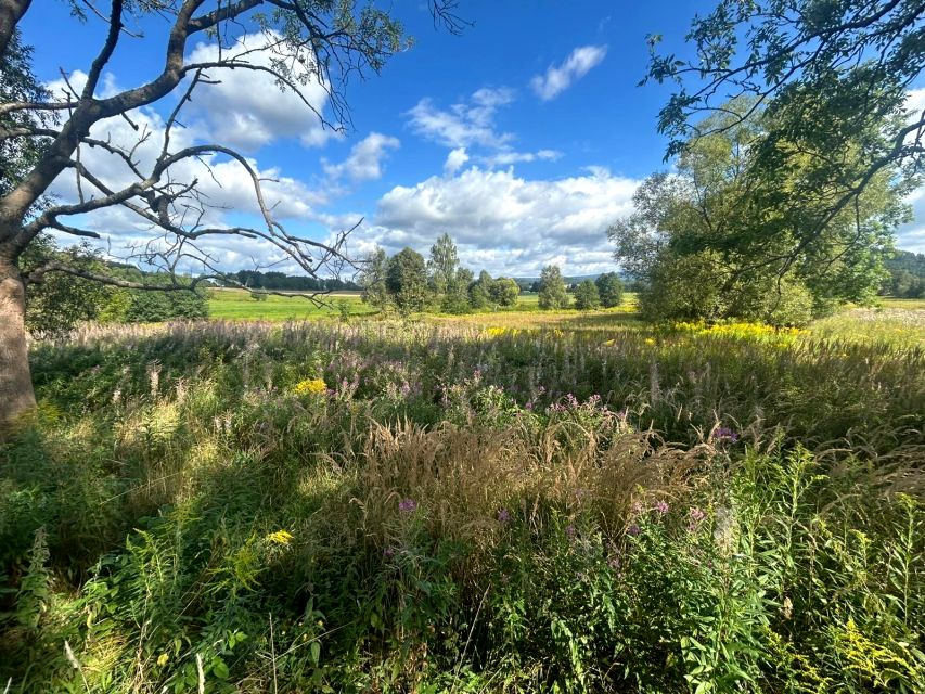 Działka siedliskowa Łomnica