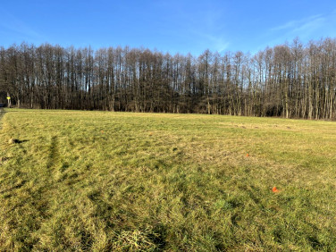 Działka inna Wymysłów Francuski