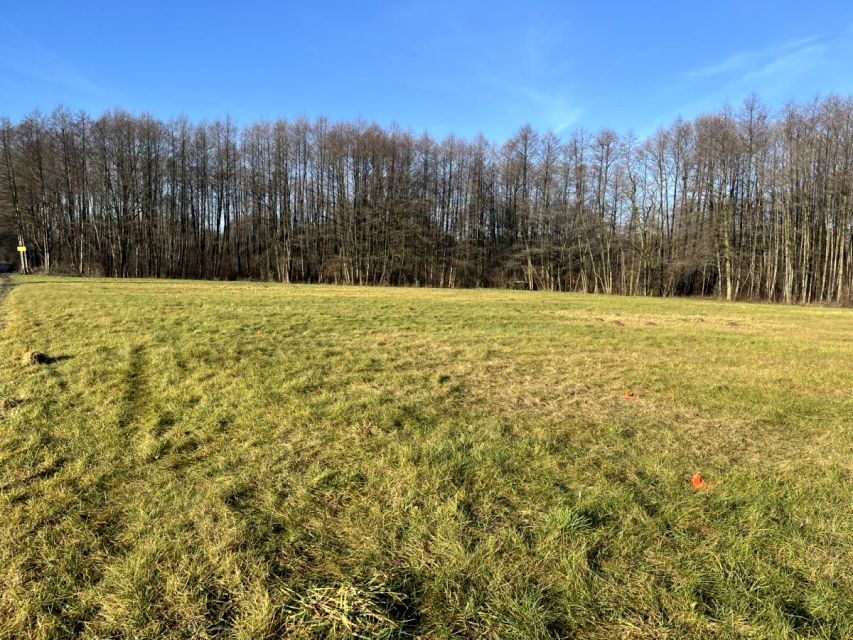 Działka inna Wymysłów Francuski