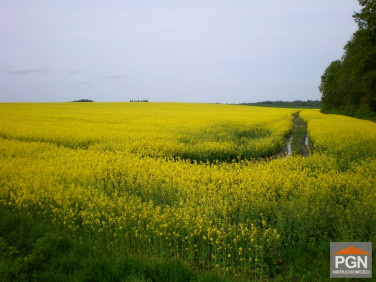 Działka przemysłowa Trzebiatów wynajmę
