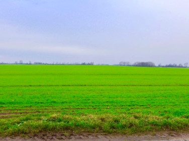 Działka budowlano-rolna Gryfice