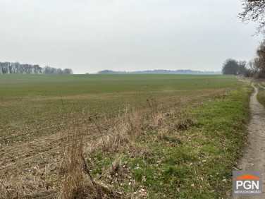 Działka rolna Chrząszczewo