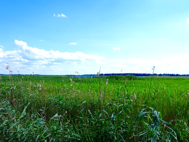 Działka Chrząszczewo