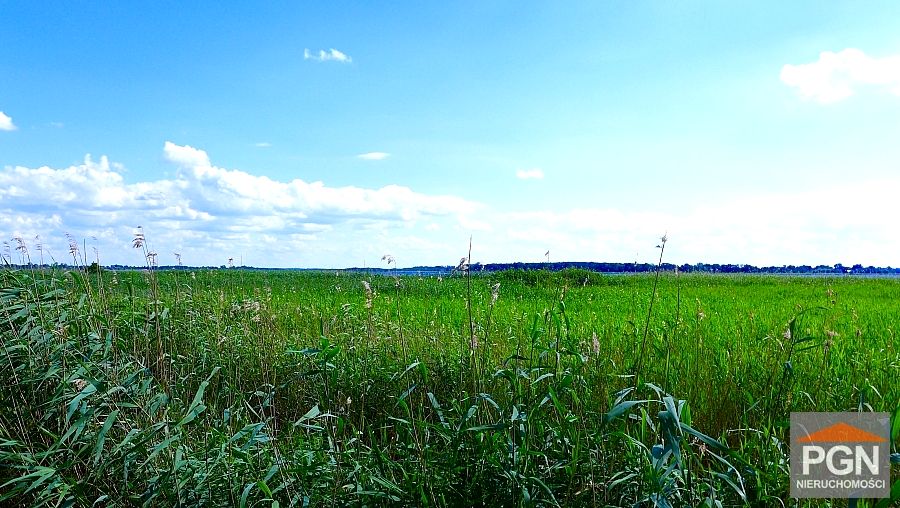 Działka Chrząszczewo