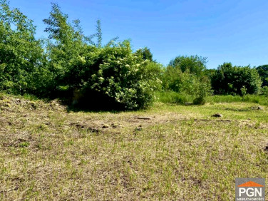 Zalesiona działka Gryfice