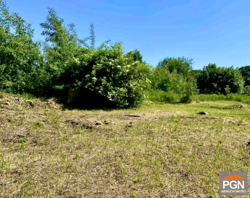 Zalesiona działka Gryfice