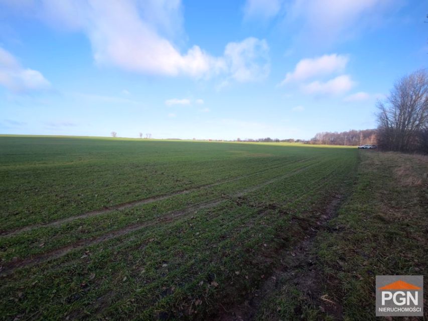 Działka budowlano-rolna Połchowo