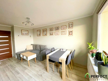 Mieszkanie Jelenia Góra