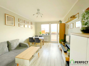 Mieszkanie Jelenia Góra