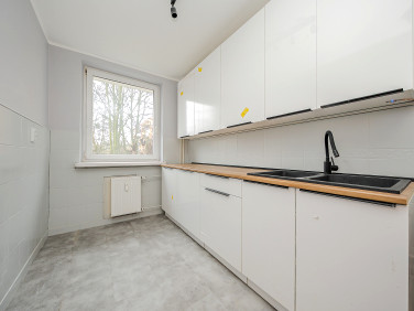 Mieszkanie przy lesie