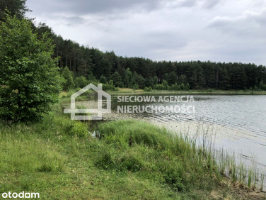 Działka budowlana Niesiołowice