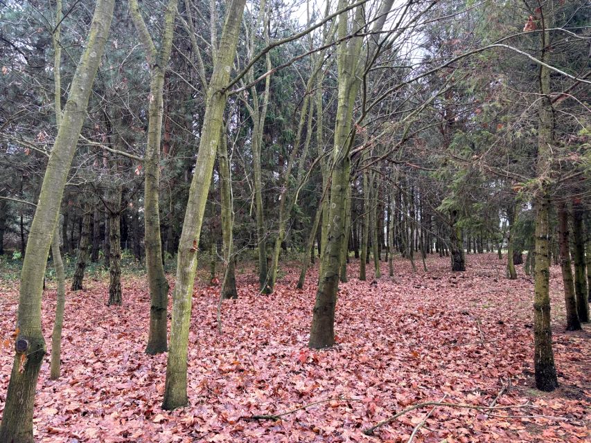 Działka budowlana Bystrzyca