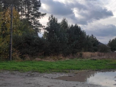 Działka budowlana Zalesie