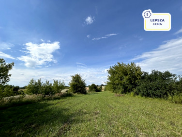 Działka budowlano-rolna Majdan Górny