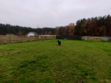 Działka budowlana Kołczewo