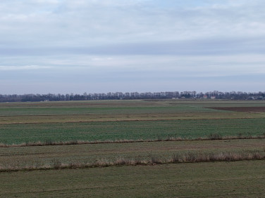 Działka budowlana Nasutów sprzedam