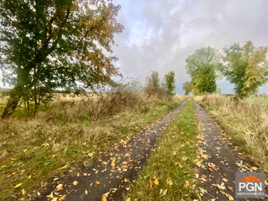 Działka budowlana Gryfice