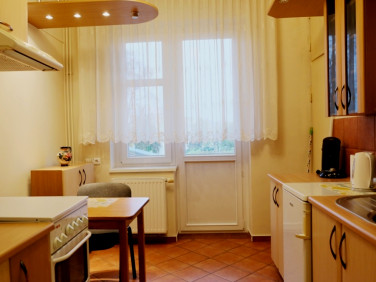 Mieszkanie przy lesie