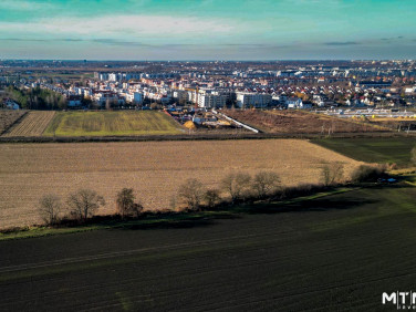 Działka rolna Iwiny