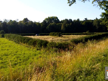 Działka inwestycyjna Trzebiatów