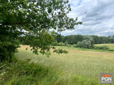 Działka rolna Ościęcin