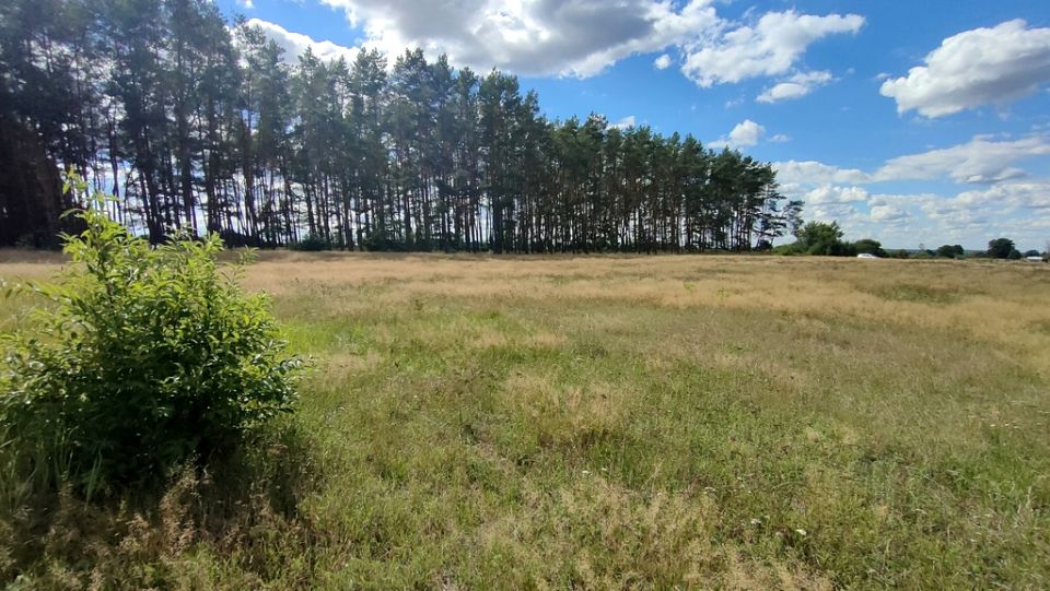 Działka rolna Komarowo