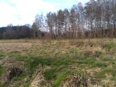 Działka inna Machowino