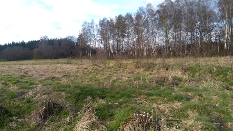 Działka inna Machowino