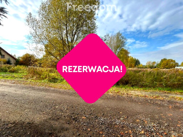 Działka przy lesie