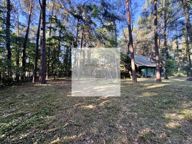 Działka leśna Jeziórko