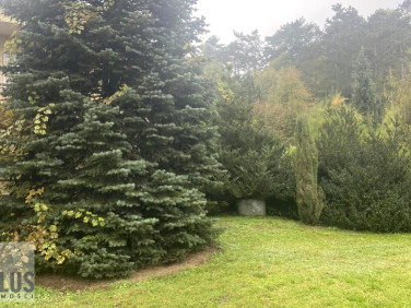 Działka czernichów