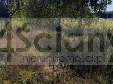 Działka budowlana Ojrzanów