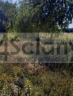 Działka budowlana Ojrzanów