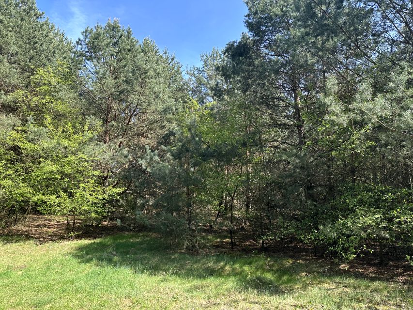 Działka rekreacyjna Gorzewo