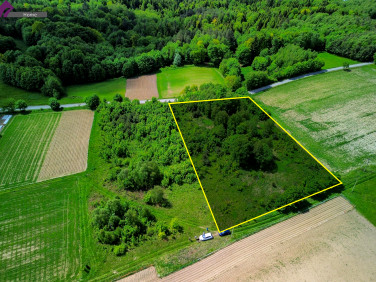 Działka inna Blizianka