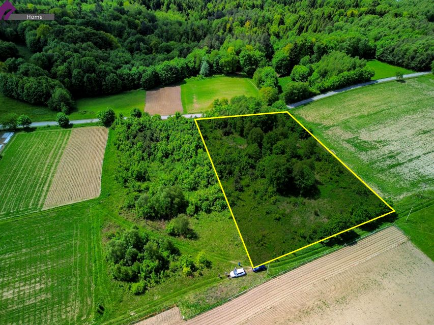 Działka inna Blizianka