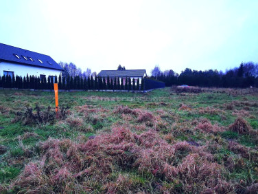 Działka budowlana Zieleniewo