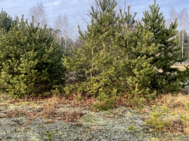 Działka budowlana Józefów