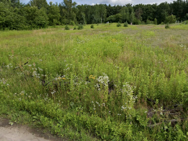Działka budowlana Jabłonna