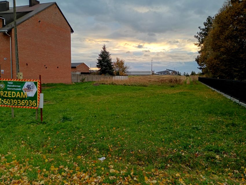 Zdjęcie 3