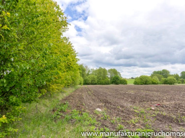 Działka siedliskowa Grodziszczany