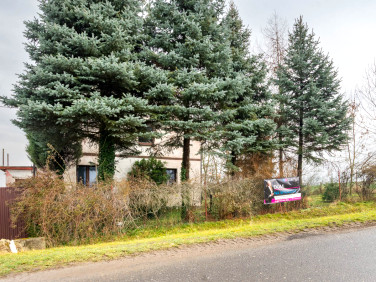 Dom Głubczyce sprzedaż