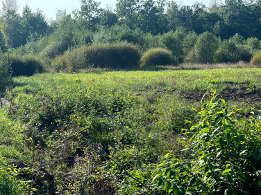 Działka budowlana Adamowizna