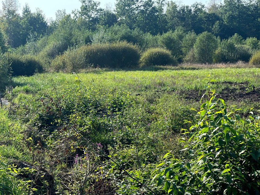 Działka budowlana Adamowizna
